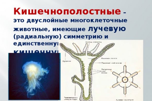 Кракен сайт в тор браузере ссылка